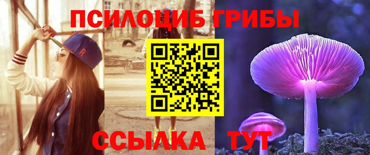 Псилоцибиновые грибы ЛСД  Галлюциногенные грибы Cubensis  Ишимбай 