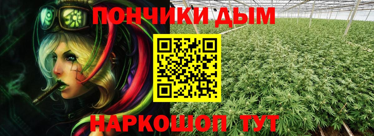 Марихуана OG Kush Ишимбай
